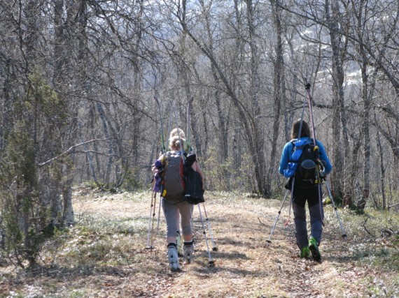 Jiehkkevarri Ski touring